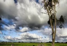 祝(zhù)福AI一(yī)代丨新民随笔