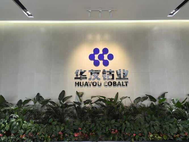 四年了，“华友钴业”，杀出来了！