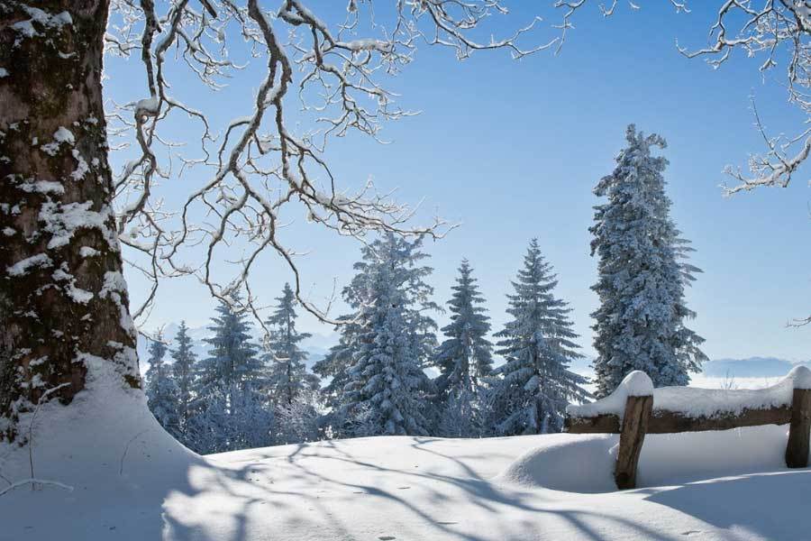 中国电竞战队EDG夺得全球总决赛冠军